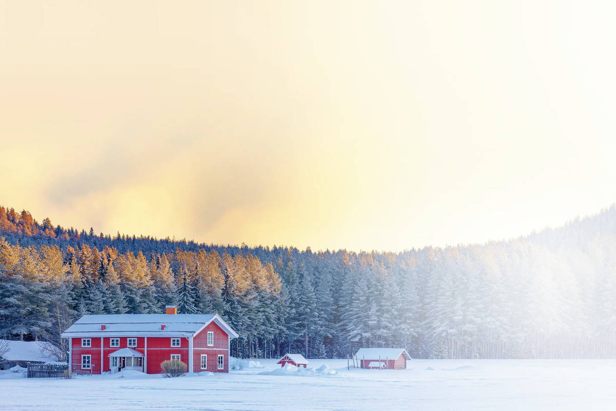 Swedish red cottage near Lulea, Swedish Lapland, Sweden, Europe