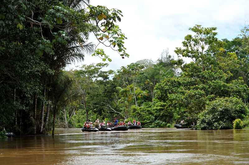 Amazonas4_01