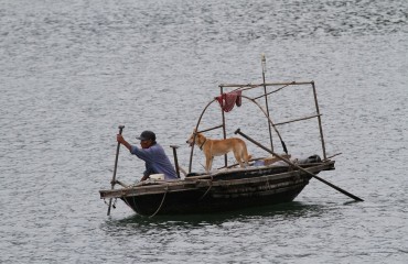 De Fischer und sine Hund (Copy)