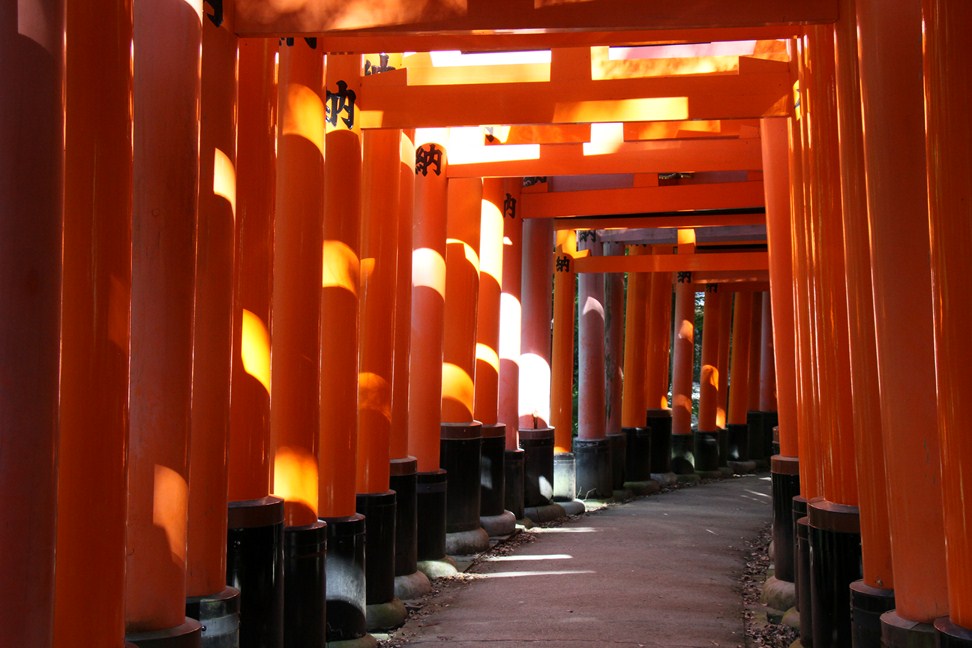 Fushimi Inari V