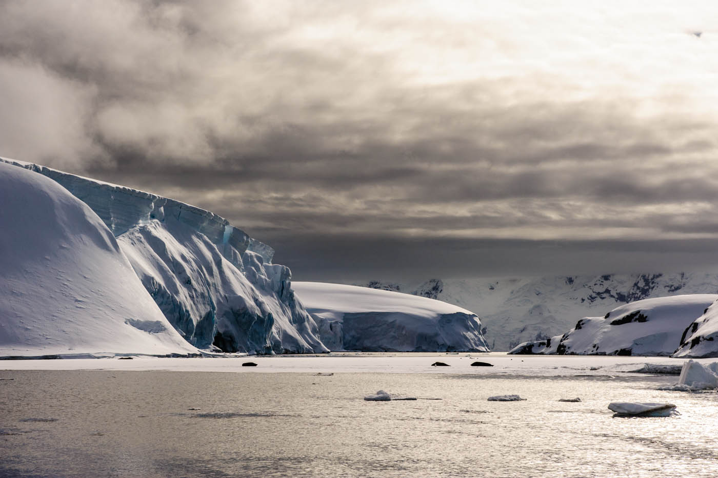 Antarktis 2011: Melchior Island.