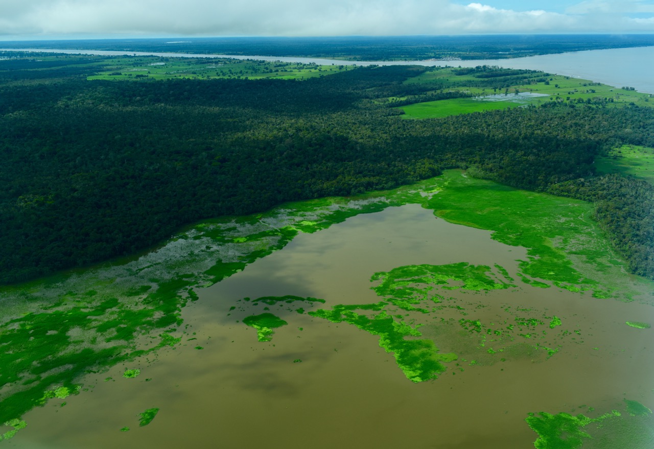 Amazonas_Manaus