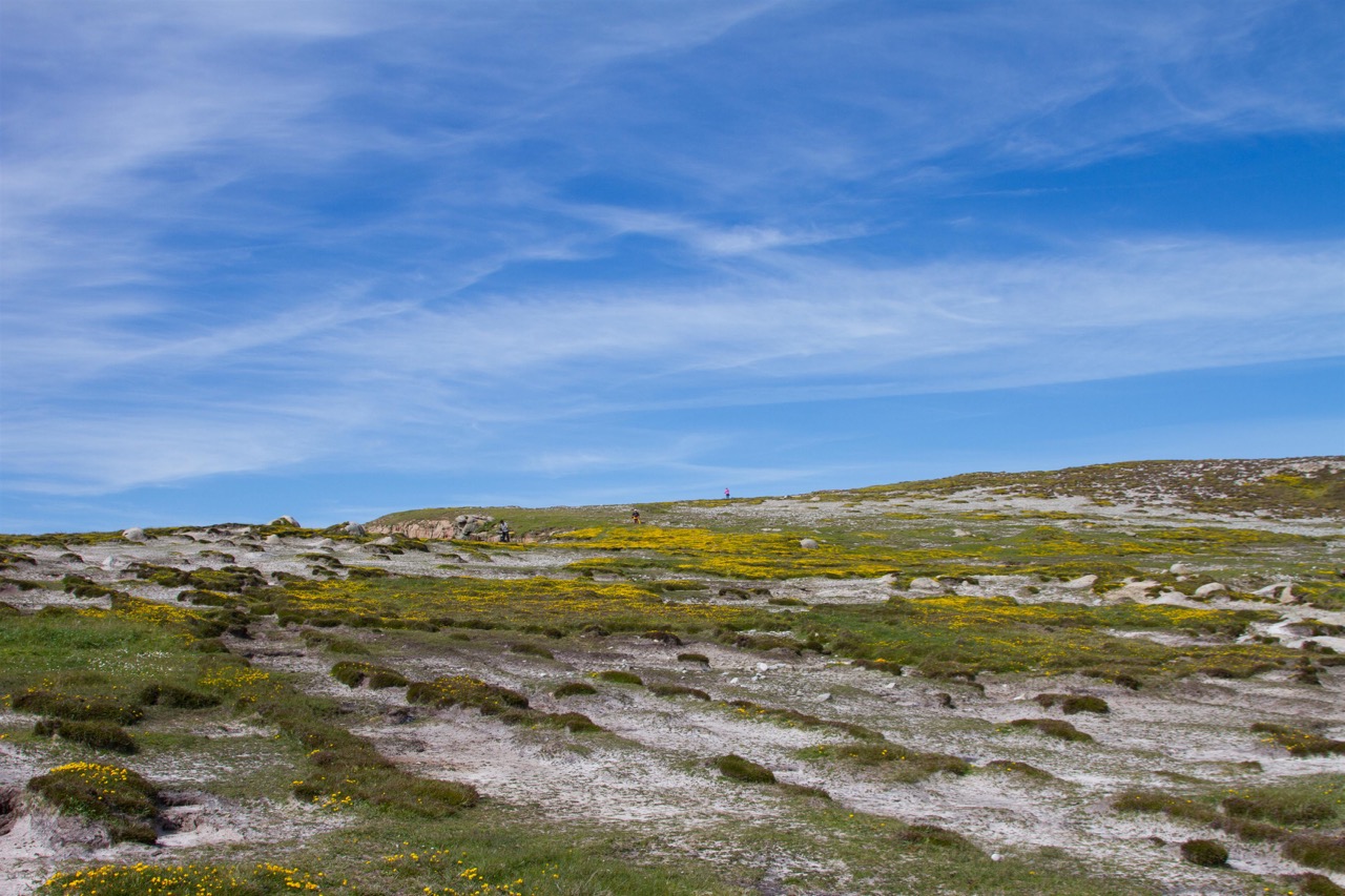 Hochfläche von Tory Island