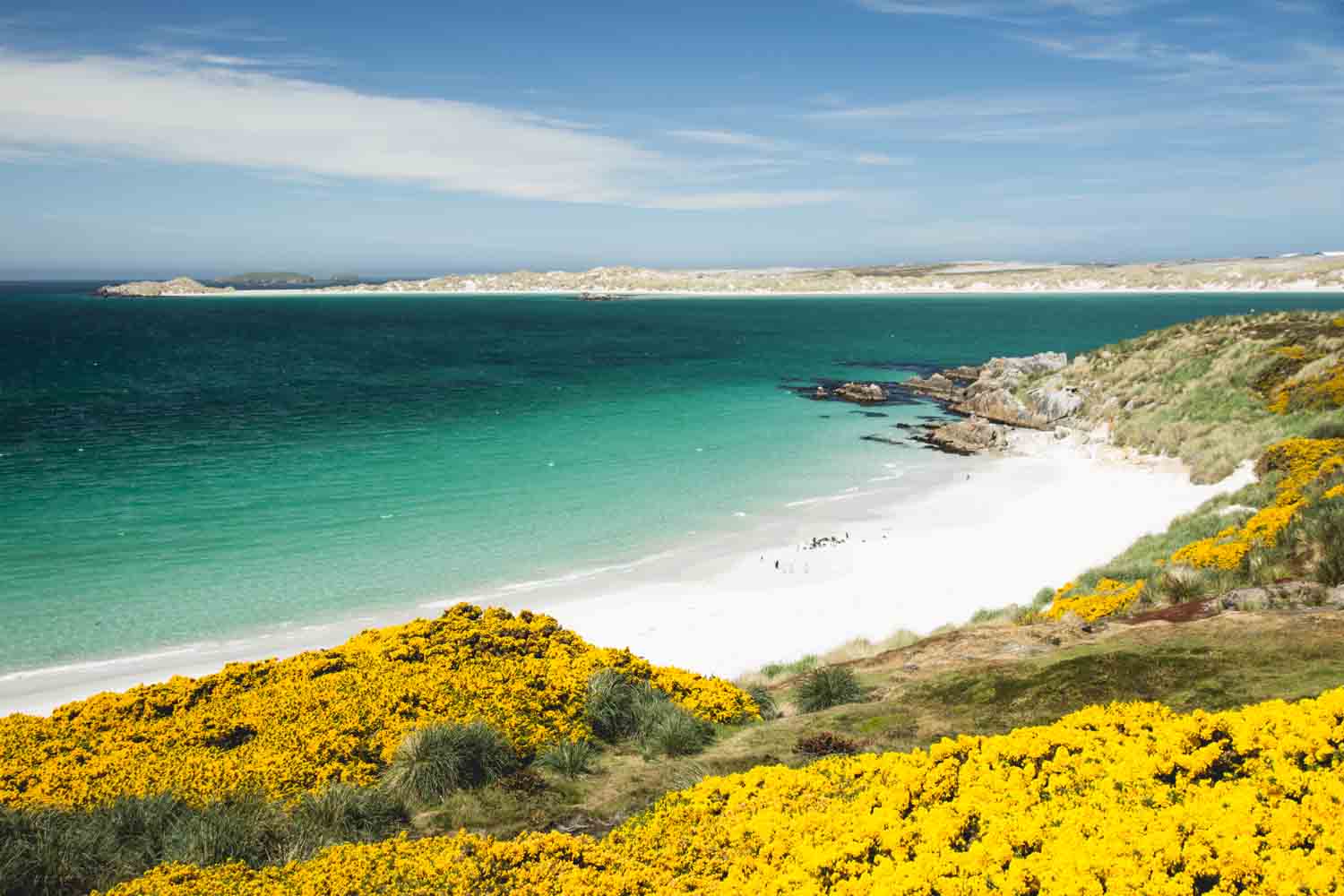 Falklands-HL-Gipsy-Cove