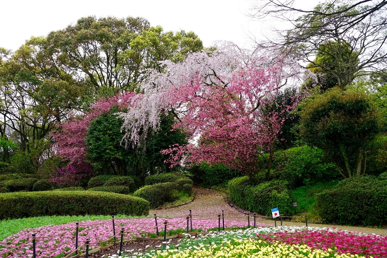 Botanischer Garten in Fukuoka