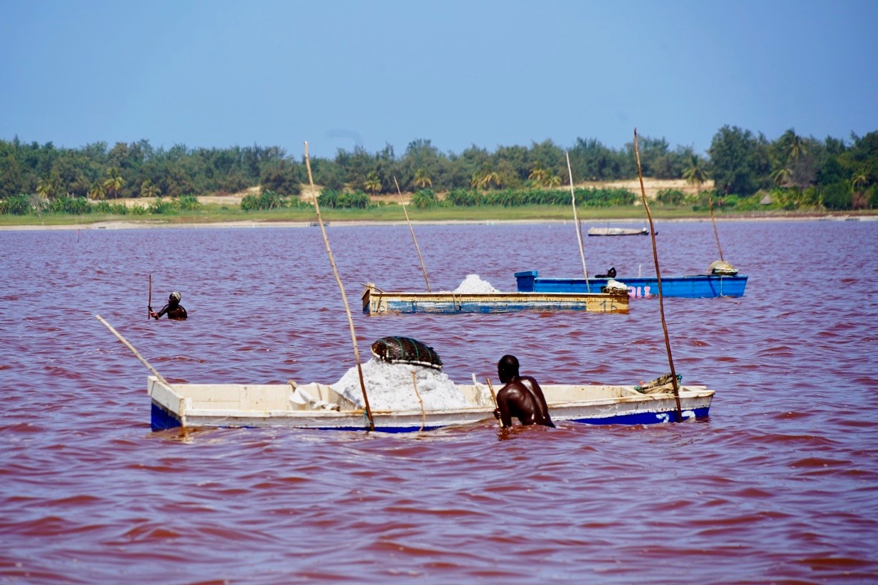 Senegal Lac Rose