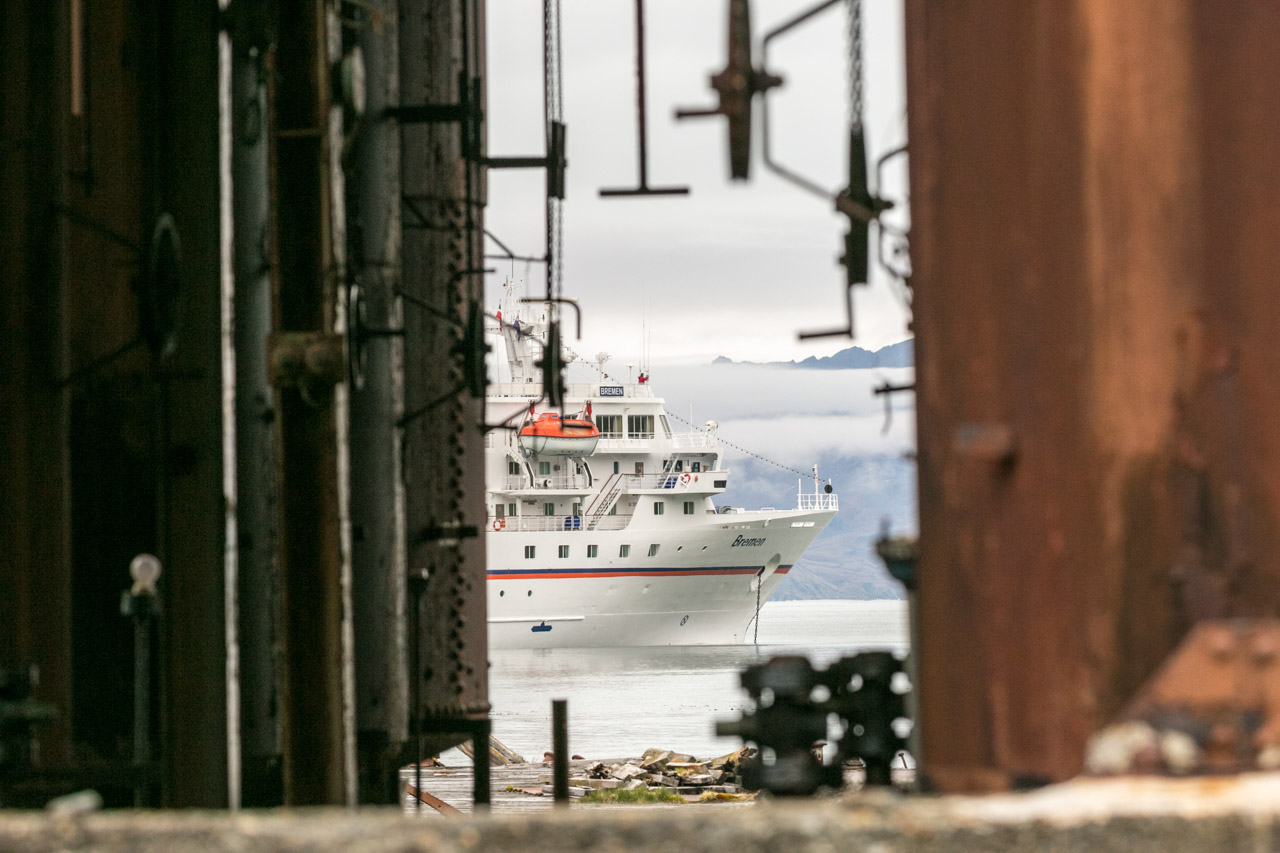 Grytviken002