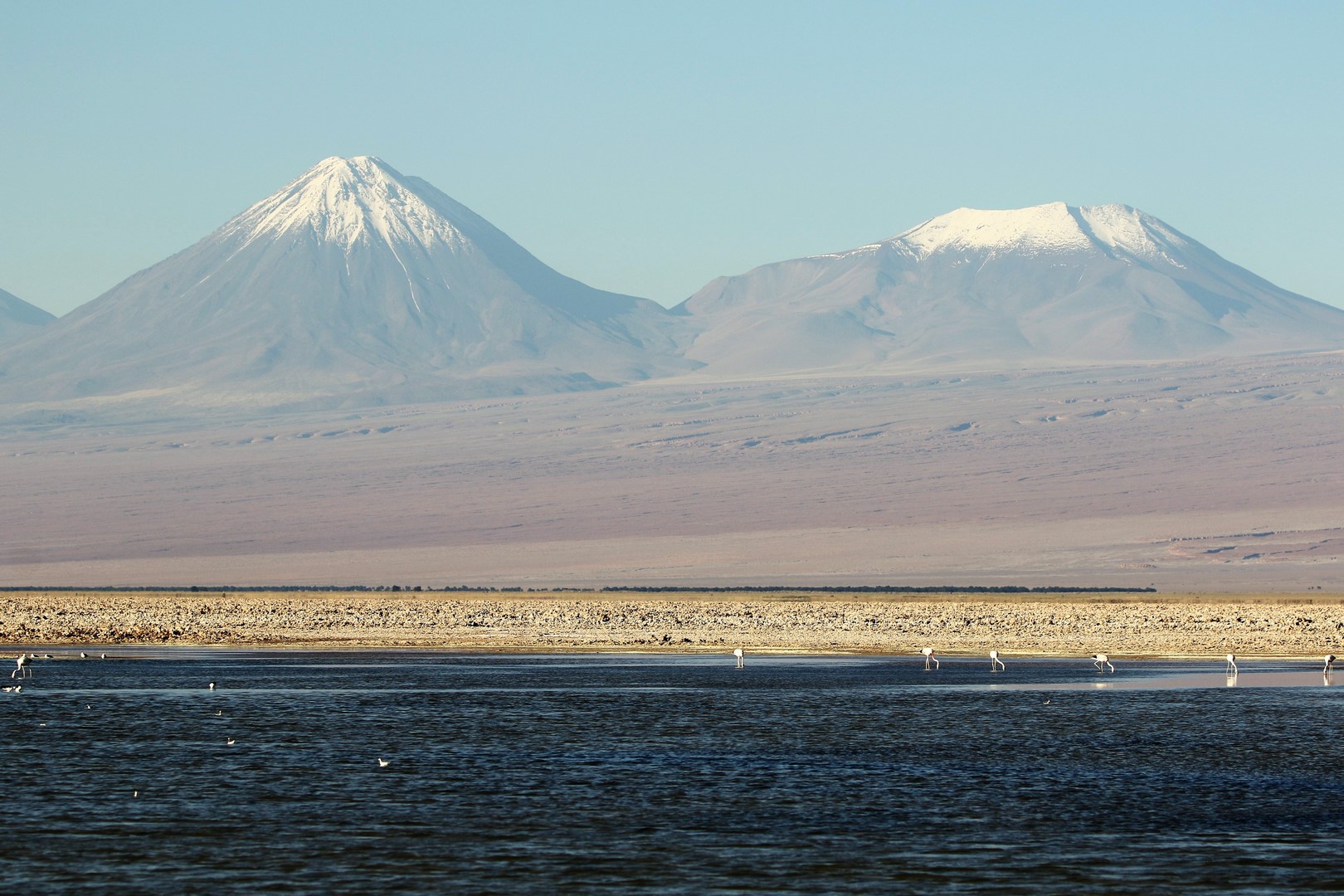 15 Lagune Chaxa, Atacama (Kopie)